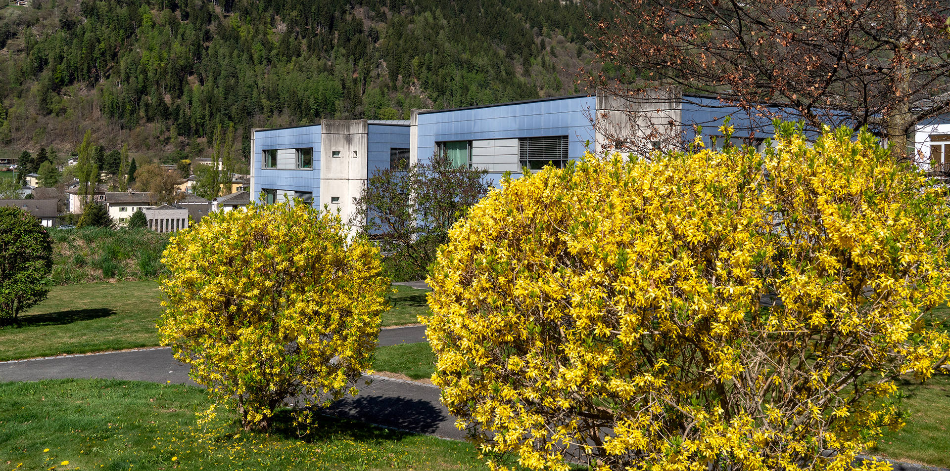 Ospedale San Sisto