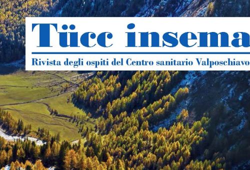 Tücc insema